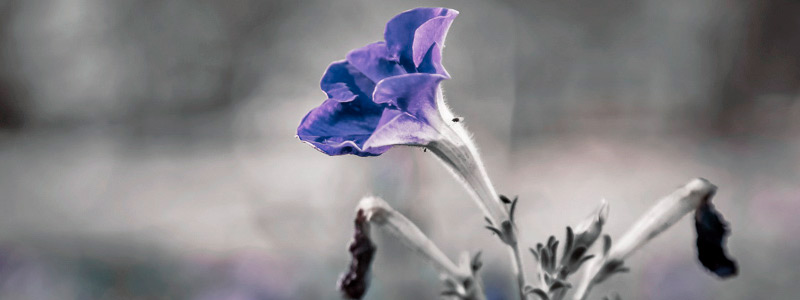 私密保护严密的短信测压下载